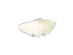 Julia Knight Tahitian Clam Shell 8" Bowl Snow Sale